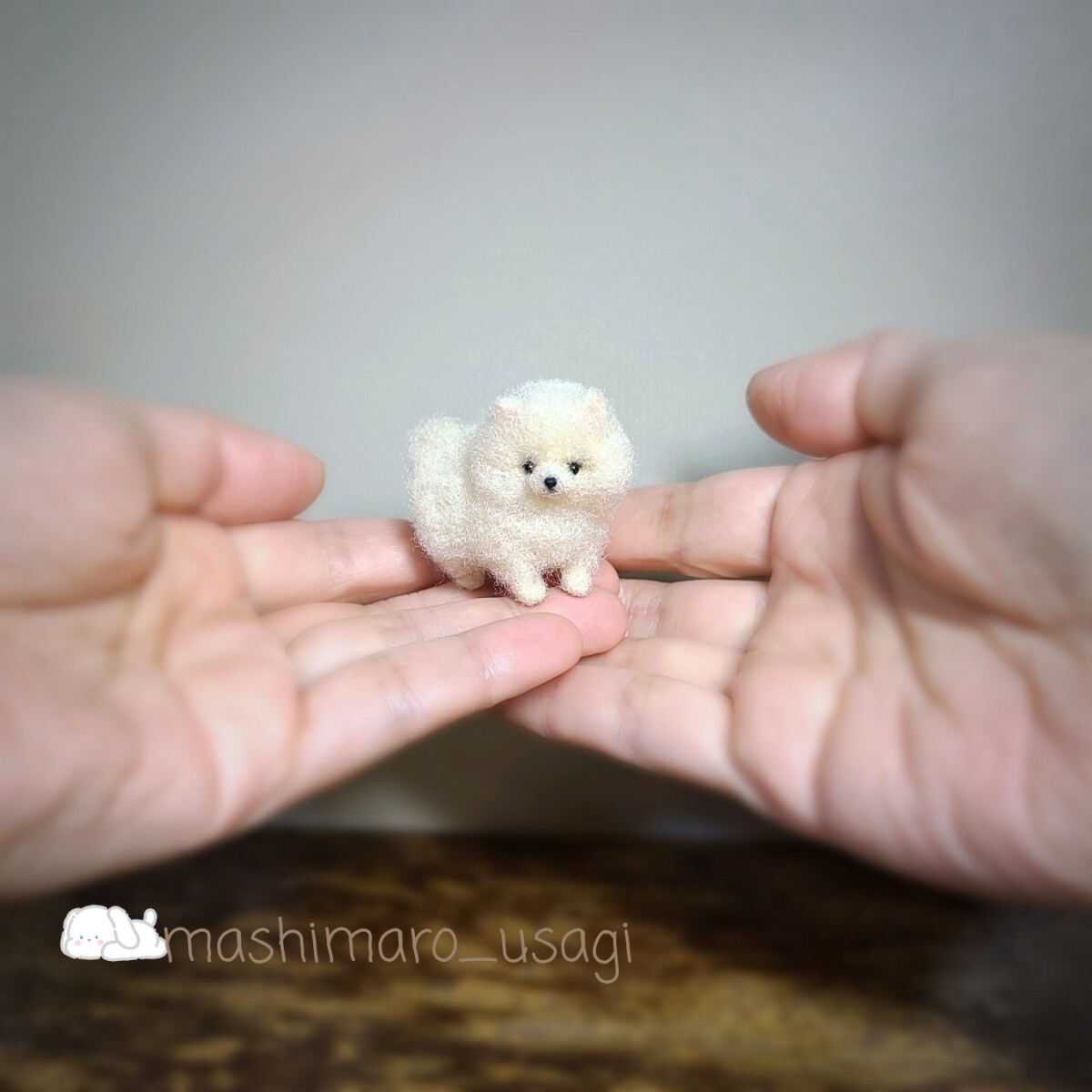⭐羊毛フェルトポメプー（ポメラニアン×トイプードル