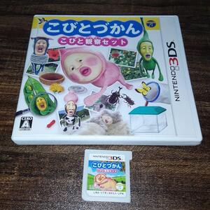 【送料4点まで230円】【3DS】こびとづかん こびと観察セット【動作確認済】