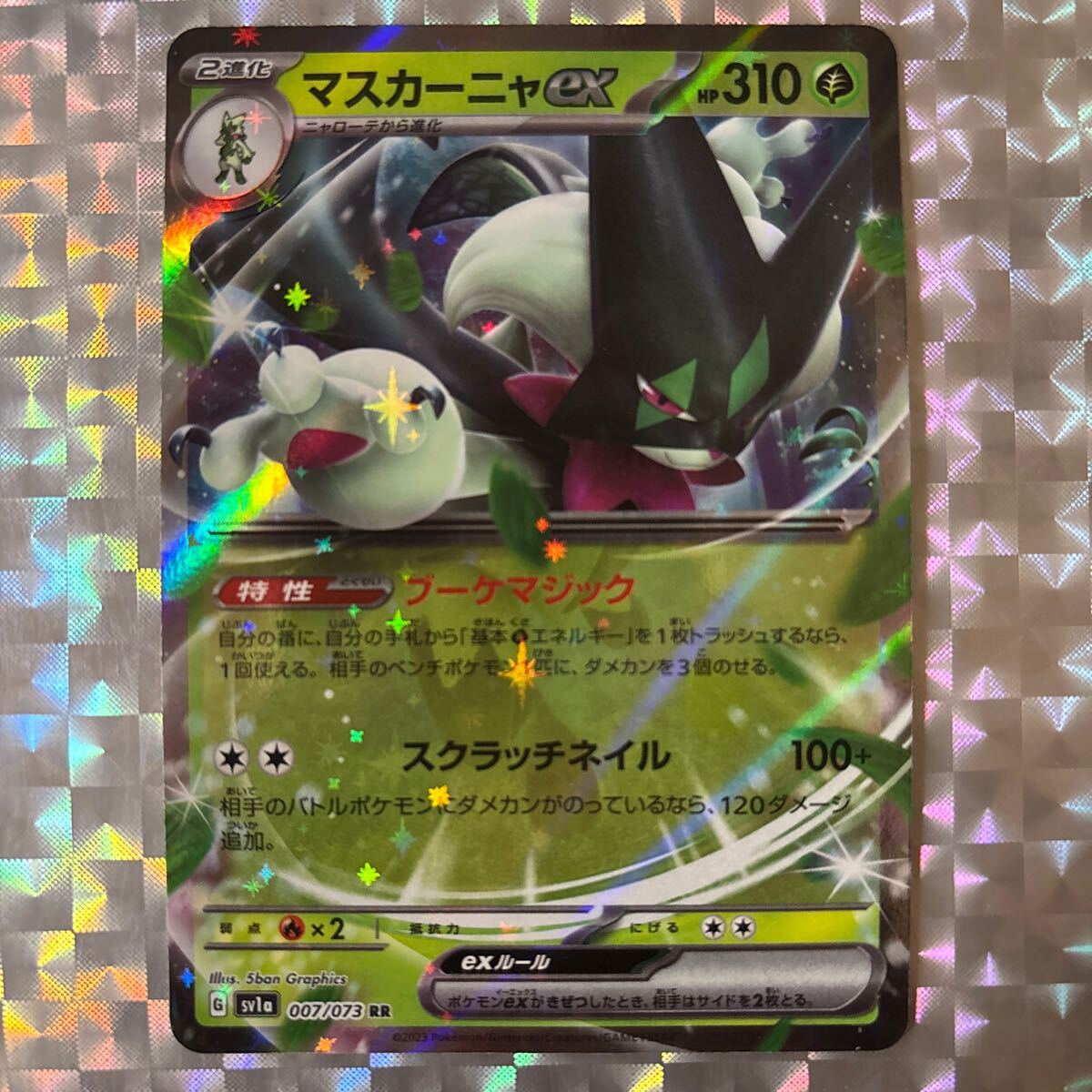 2025年最新】Yahoo!オークション -草タイプ ポケモンカードの 2025年最新】Yahoo!オークション -草タイプ ポケモンカードの