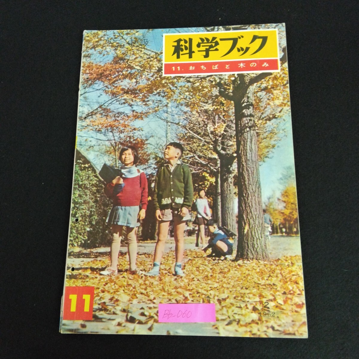 『科学ブック』(全２２巻)　株式会社世界文化社　【昭和の学校】【昭和の時代】 科学ブック』(全22巻) 株式会社世界文化社 【昭和の学校