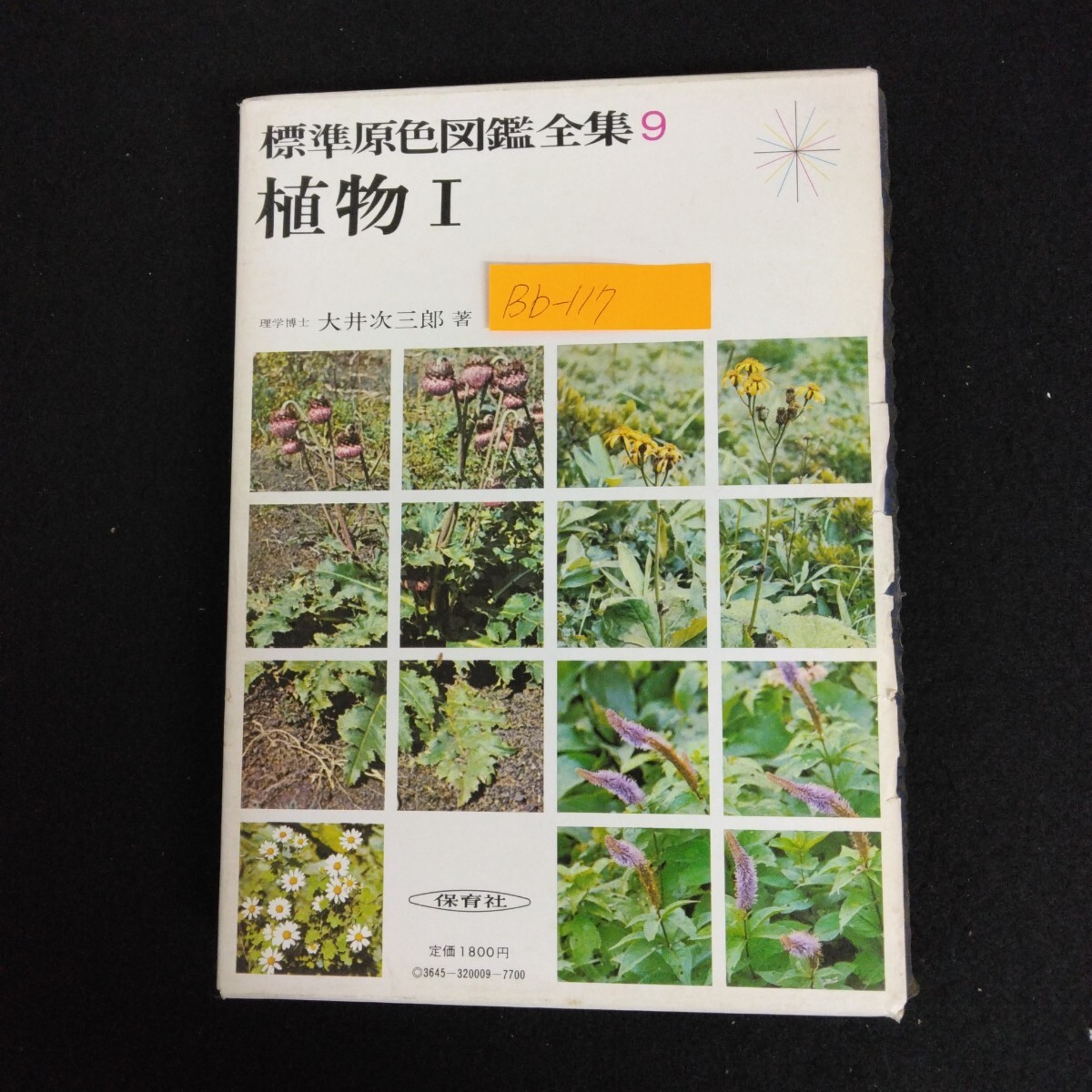 標準原色図鑑全集/第9巻　大井次三郎　保育社 標準原色図鑑全集/第9巻 大井次三郎 保育社
