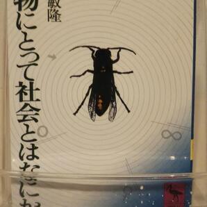 動物にとって社会とはなにか (講談社学術文庫 169)