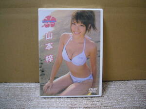 DVD новый товар нераспечатанный Yamamoto .[az Berry ]