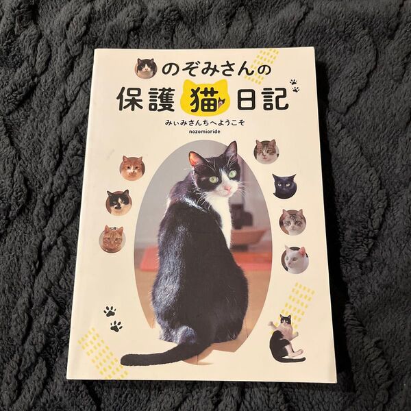のぞみさんの保護猫日記
