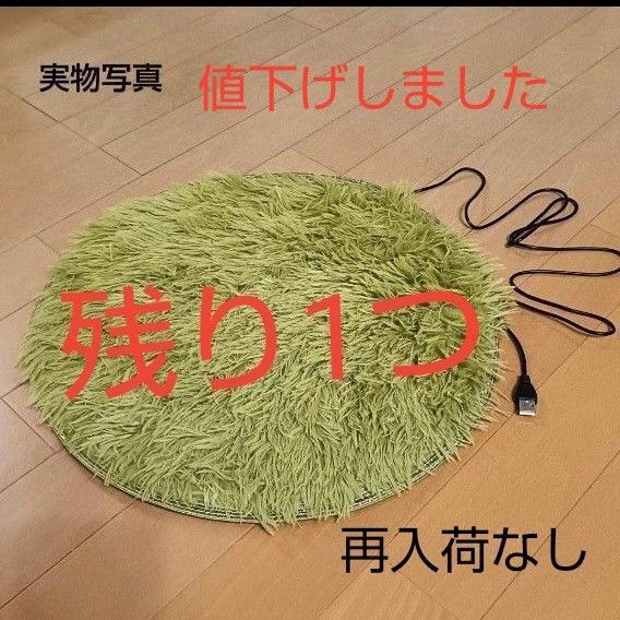 【冬物処分セール】ペット用ホットカーペット ペット用ヒーター 暖房器具 猫 犬 うさぎ USB 冷