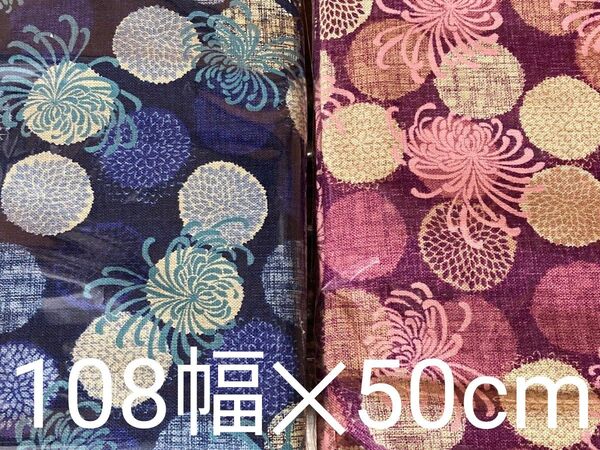 ハギレ 小粋文様菊絣 むら糸クロス 和柄コットン生地 ブルー&ピンク2枚セット