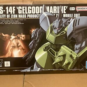 未開封 HGUC 1/144 MS-14F ゲルググマリーネ