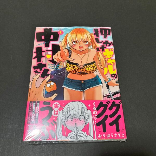 押しかけギャルの中村さん 1