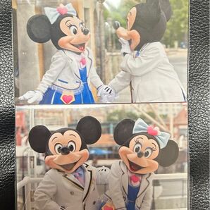 ディズニーリゾート限定 旧フェイス 実写メモ 2種