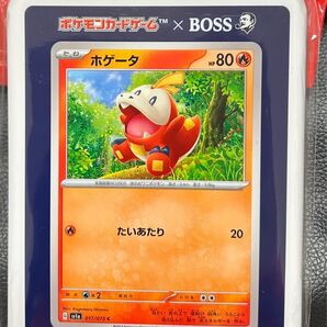 ボス×ポケモン ポケモンカードゲーム ランチボックス ホゲータ