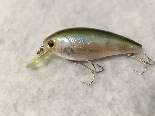 CB-100 ベイトフィッシュ系カラー ラッキークラフト Lucky Craft (63)