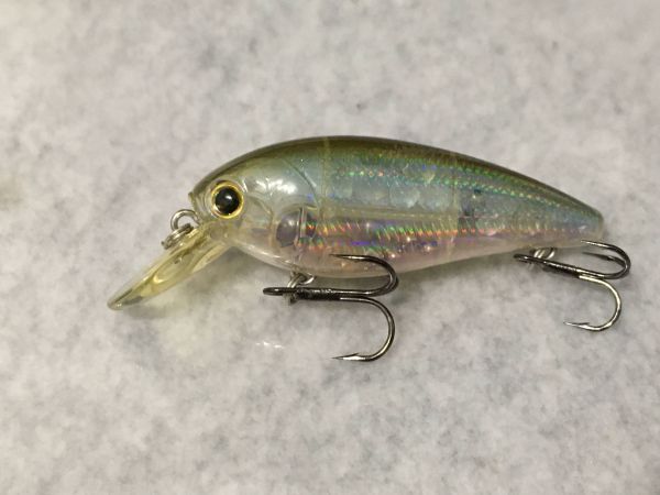 CB-100 ベイトフィッシュ系カラー1 ラッキークラフト Lucky Craft (64)