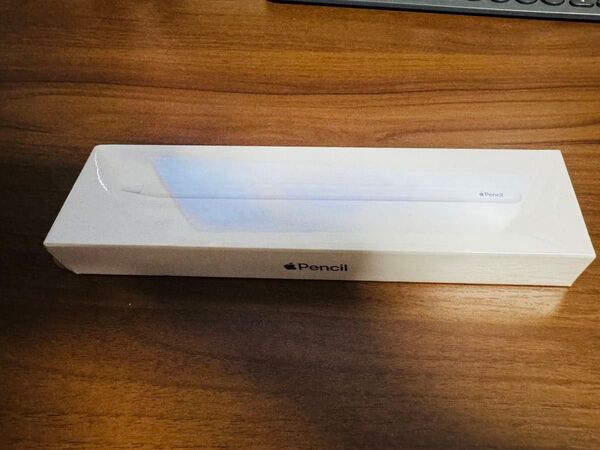 Apple Pencil アップルペンシル 第二世代