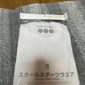 体育着 半袖 白