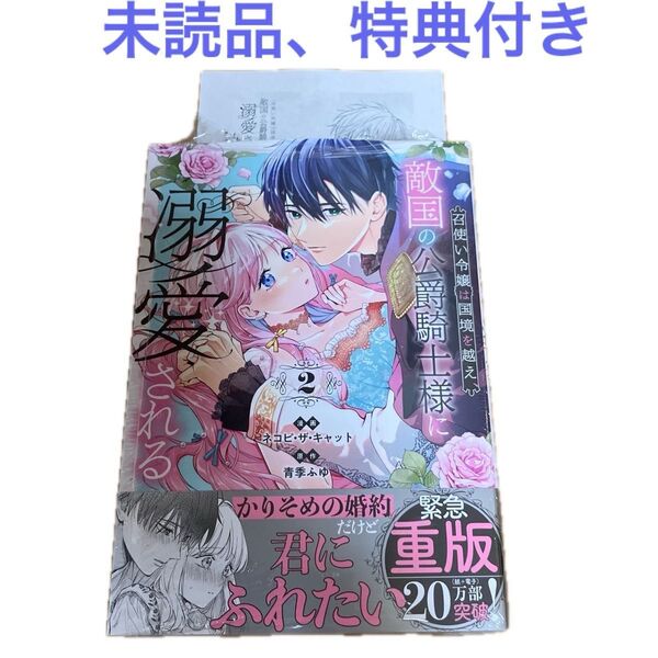 【未読品】召使い令嬢は国境を越え、敵国の公爵騎士様に溺愛される2