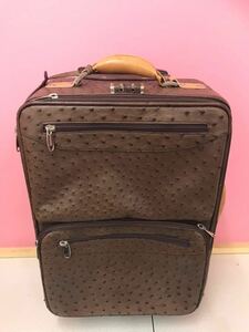  suitcase carry bag Ostrich Carry case 