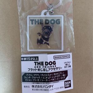 *カプセルなし* THE DOG AND FRIENDS フラットめじるしアクセサリー 柴犬