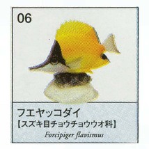 原色図鑑シリーズ10　原色海水魚図鑑1　フエヤッコダイ ユージン ガチャポン チョコエッグ フィギュア_画像1