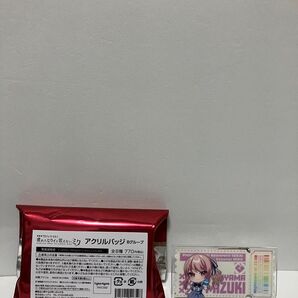 プロセカ ローソン アクリルバッジ 瑞希