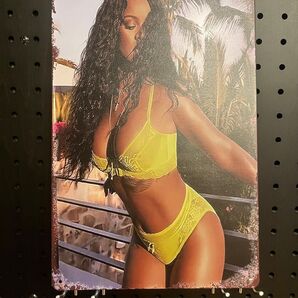 【ブリキ看板】美女 セクシー 水着 アメリカン ブロンド 下着 インテリア 世田谷ベース 五反田 おしゃれ 一人暮らし レディース