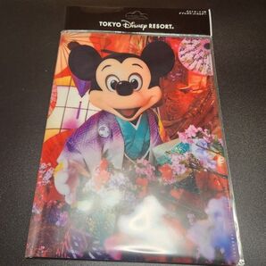 定価以下 ディズニーランド イマジニングザマジック 蜷川実花 ポストカード