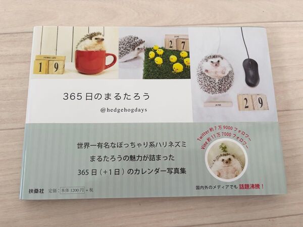 365日のまるたろう