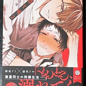 悠と晴 2巻 BL コミック