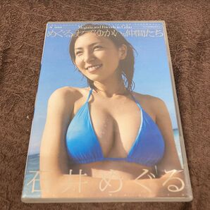 DVD 石井めぐる めぐるのセブとゆかいな仲間たち