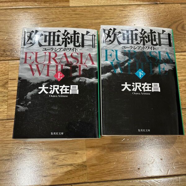 大沢在昌 ユーラシアホワイト 上下 集英社文庫
