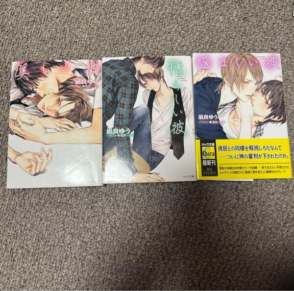 美しい彼 憎らしい彼 悩ましい彼 凪良ゆう