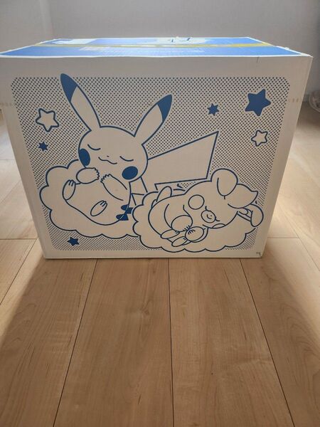 新品未開封 ピカピカボックス2025 ピカチュウ ポケモン ポケモンセンター ポケセン ピカピカボックス