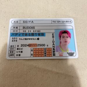 EBiDAN EBiDAN免許証 BUDDiiS SEIYA