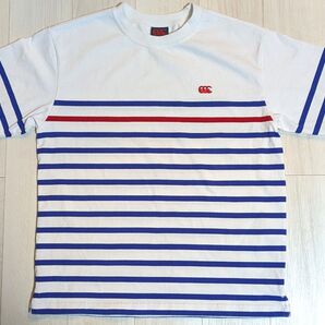 カンタベリー canterbury クルーネック Tシャツ ボーダー