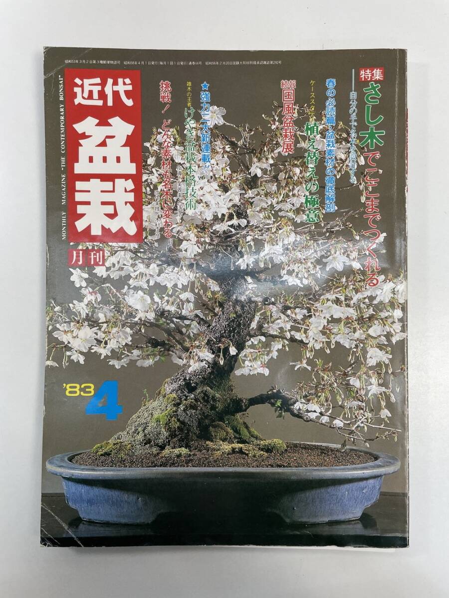 2025年最新】Yahoo!オークション -盆栽(本、雑誌)の中古品・新品 2025年最新】Yahoo!オークション -盆栽(本、雑誌)の中古品・新品