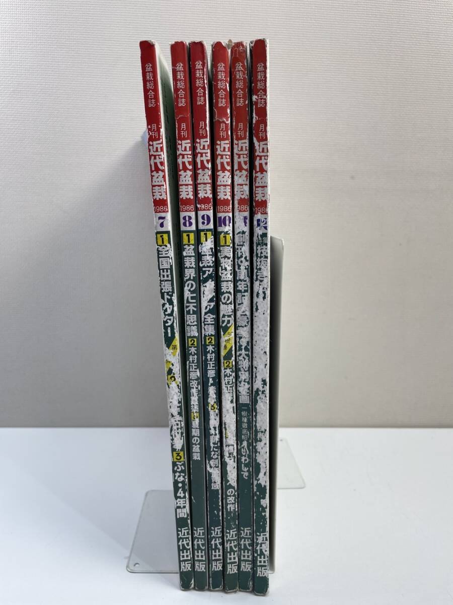 2025年最新】Yahoo!オークション -盆栽(本、雑誌)の中古品・新品 2025年最新】Yahoo!オークション -盆栽(本、雑誌)の中古品・新品