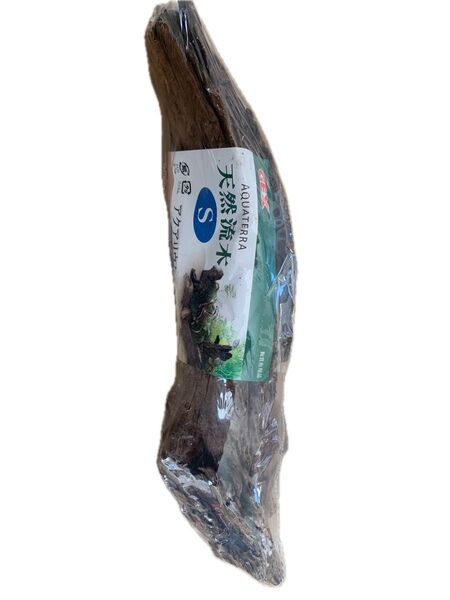 【ラスト商品】天然流木S