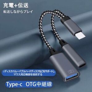 USB Type-C 変換アダプタ otg USB変換アダプタ 2in1