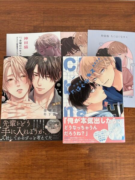 ちぐはぐなキス特装版小冊子アニメイトリーフレット 金曜日の年下彼氏アニメイトリーフレット 末広マチ 神田猫