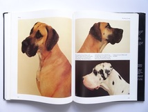 洋書◆犬の写真集 本_画像7