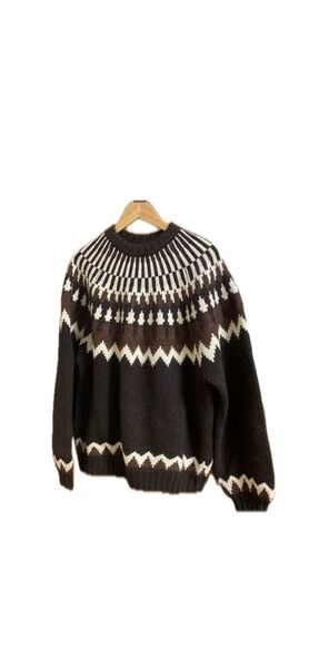 BEAMS シャギー ノルディック ニット