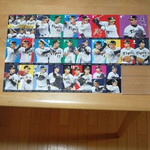 2024阪神タイガース卓上カレンダー