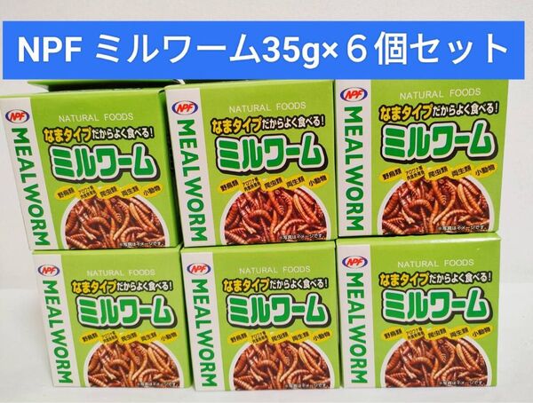 NPF なまタイプだからよく食べる!ミルワーム 35g×6個セット