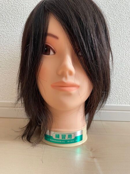 カット練習用 美容師実技試験対応