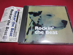 Rockin' the Beat / マーク・ファイスト&ヒズ・プロジェクト★ハウンドドッグ英語カバー