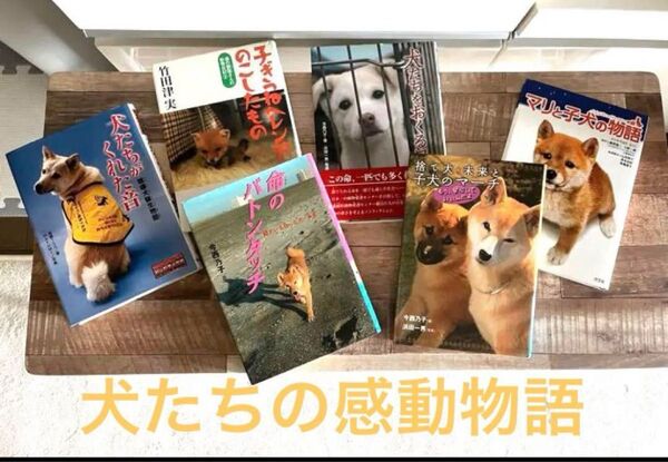 犬 読書本 感動作品 美品 6冊セット