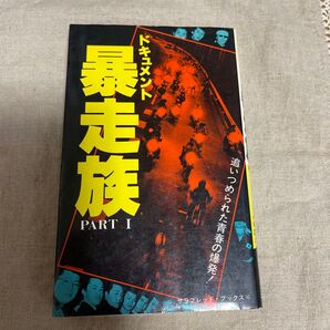 ドキュメント暴走族 PART1
