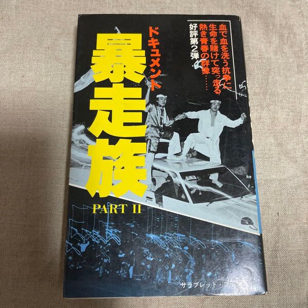 ドキュメント暴走族 PART2