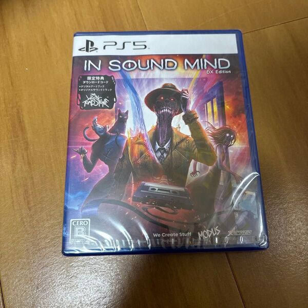 PS5ソフト プレイステーション5 In Sound Mind - DX Edition