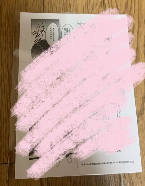 【特典のみ】ニラカネユキ『半径15㎝の初恋』応援店特典ペーパー