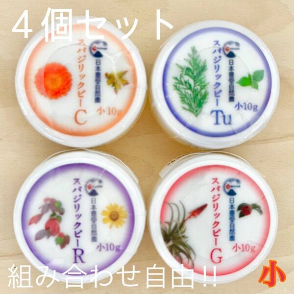 スパジリックビー クリーム 小 C/Tu/R/G ホメオパシー